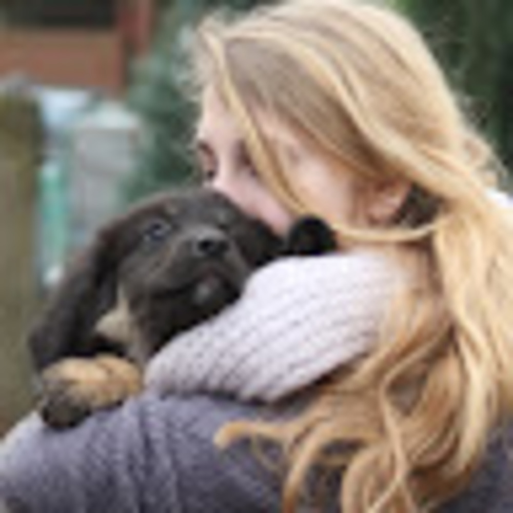 Meet your Posher, Isabella